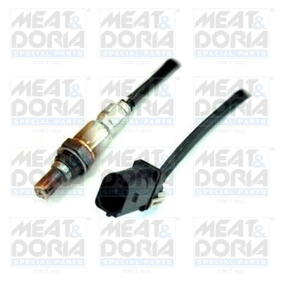 Oxygen Sensor